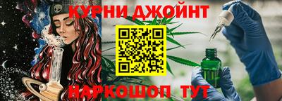 МДПВ Камышлов