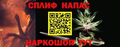 МДПВ Камышлов