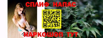 МДПВ Камышлов