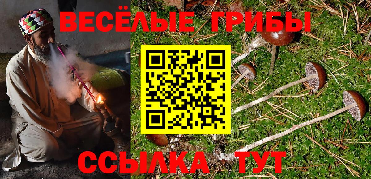 Торжок  Псилоцибиновые грибы GOLDEN TEACHER  купить  сайты  Вход с VPN 