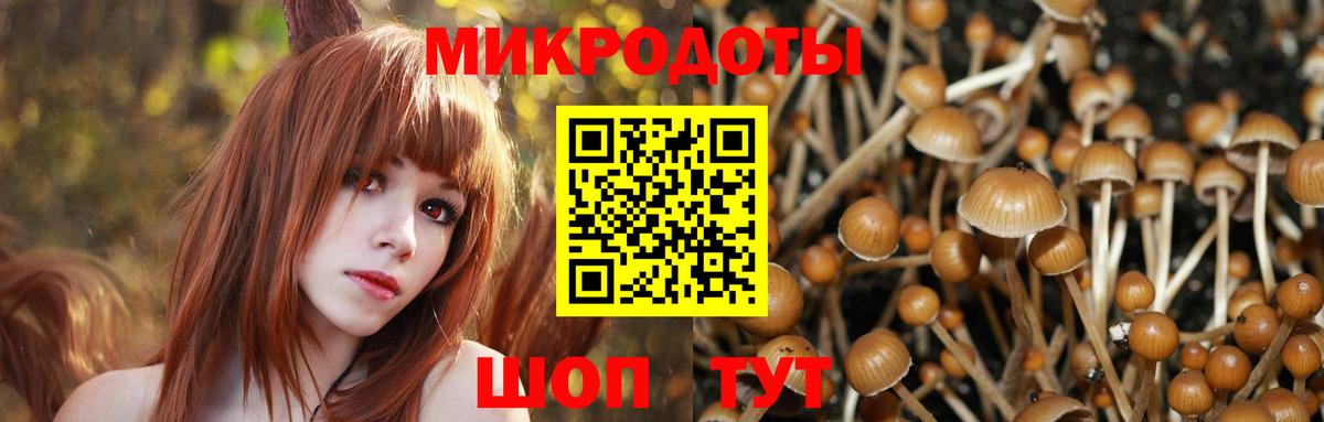 Псилоцибиновые грибы Magic Shrooms Торжок